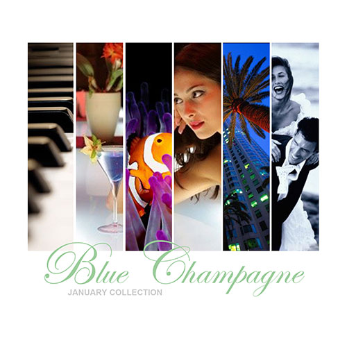 Blue Champagne: January Collection 